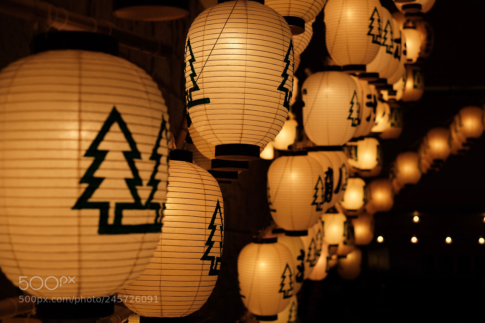 Fujifilm X-T20 sample photo. Untitled photography