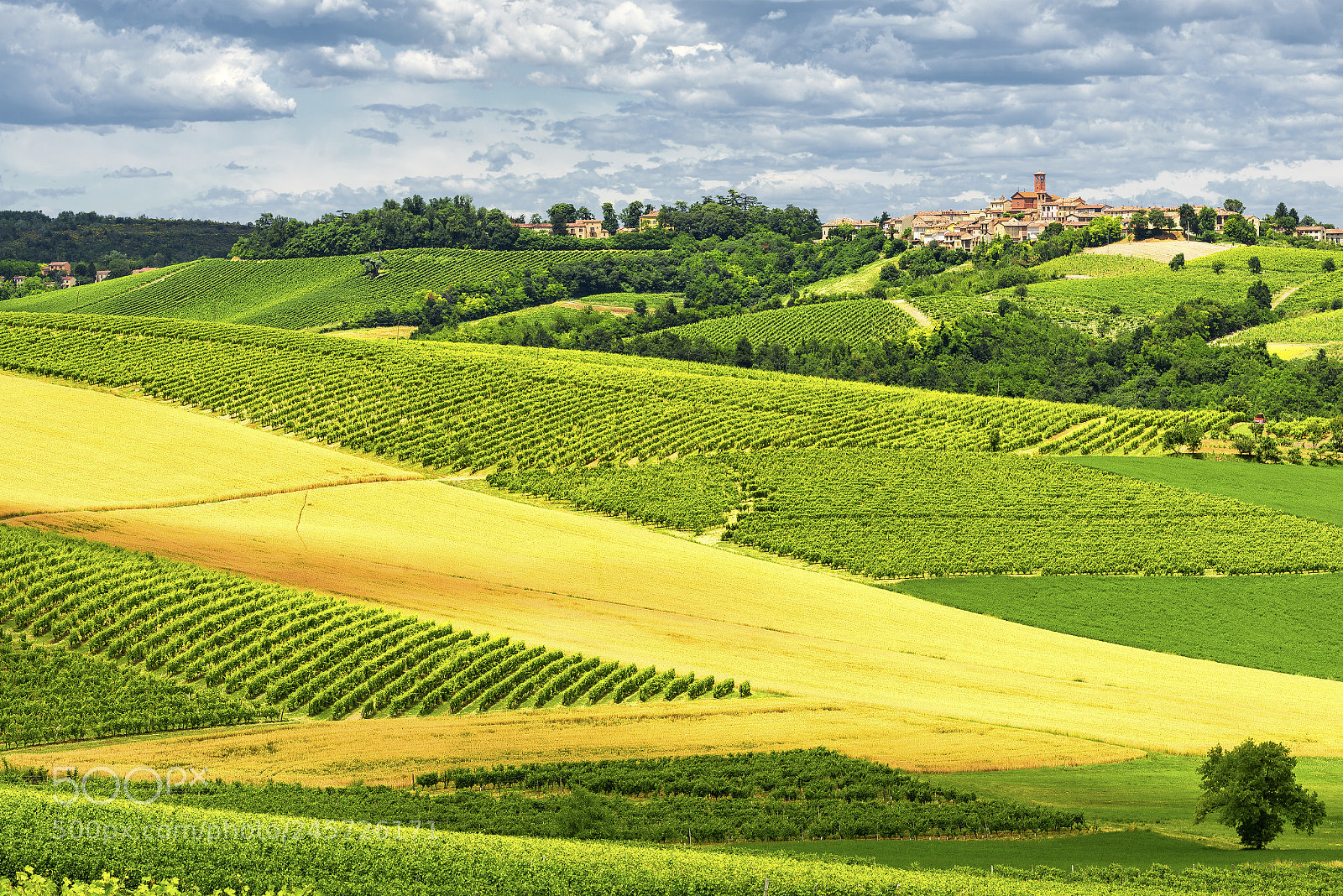 Nikon D800 sample photo. Monferrato (italy): landscape photography