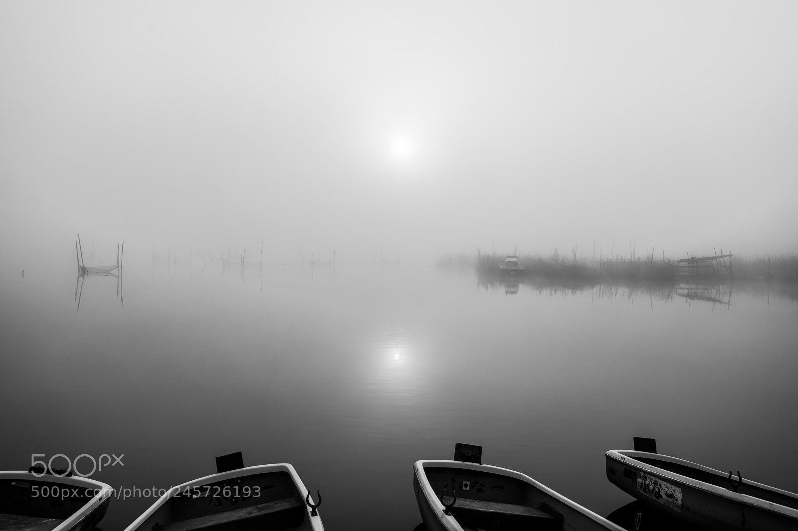 Sony a99 II sample photo. A misty morning ４ photography