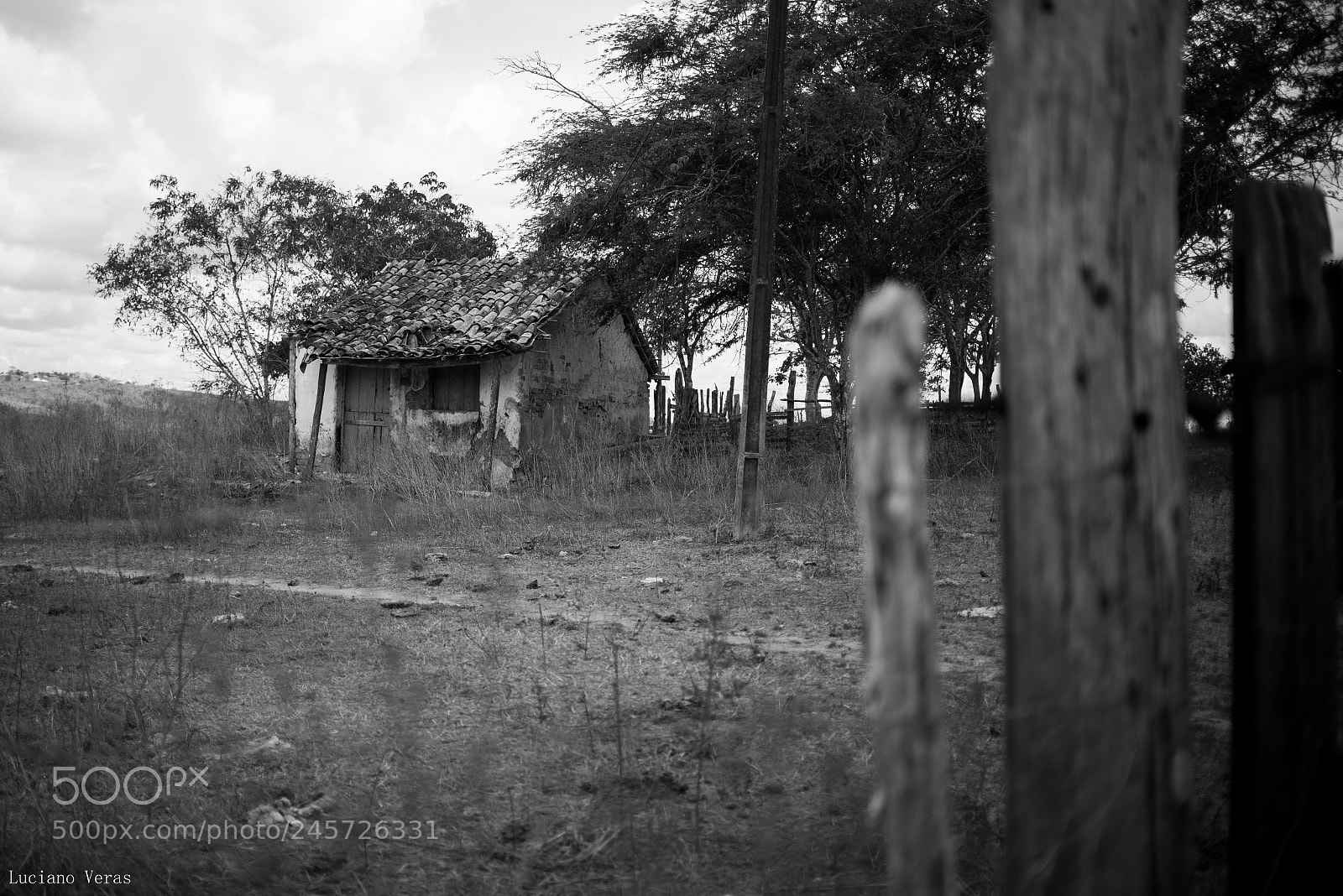Nikon D610 sample photo. House of paper photography