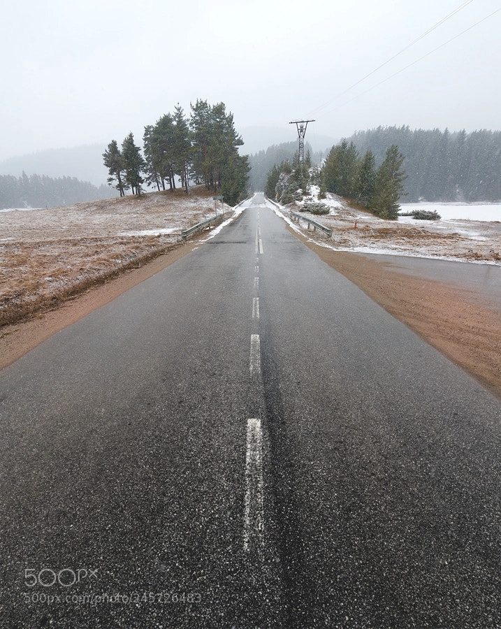 Nikon D600 sample photo. The road to freedom photography