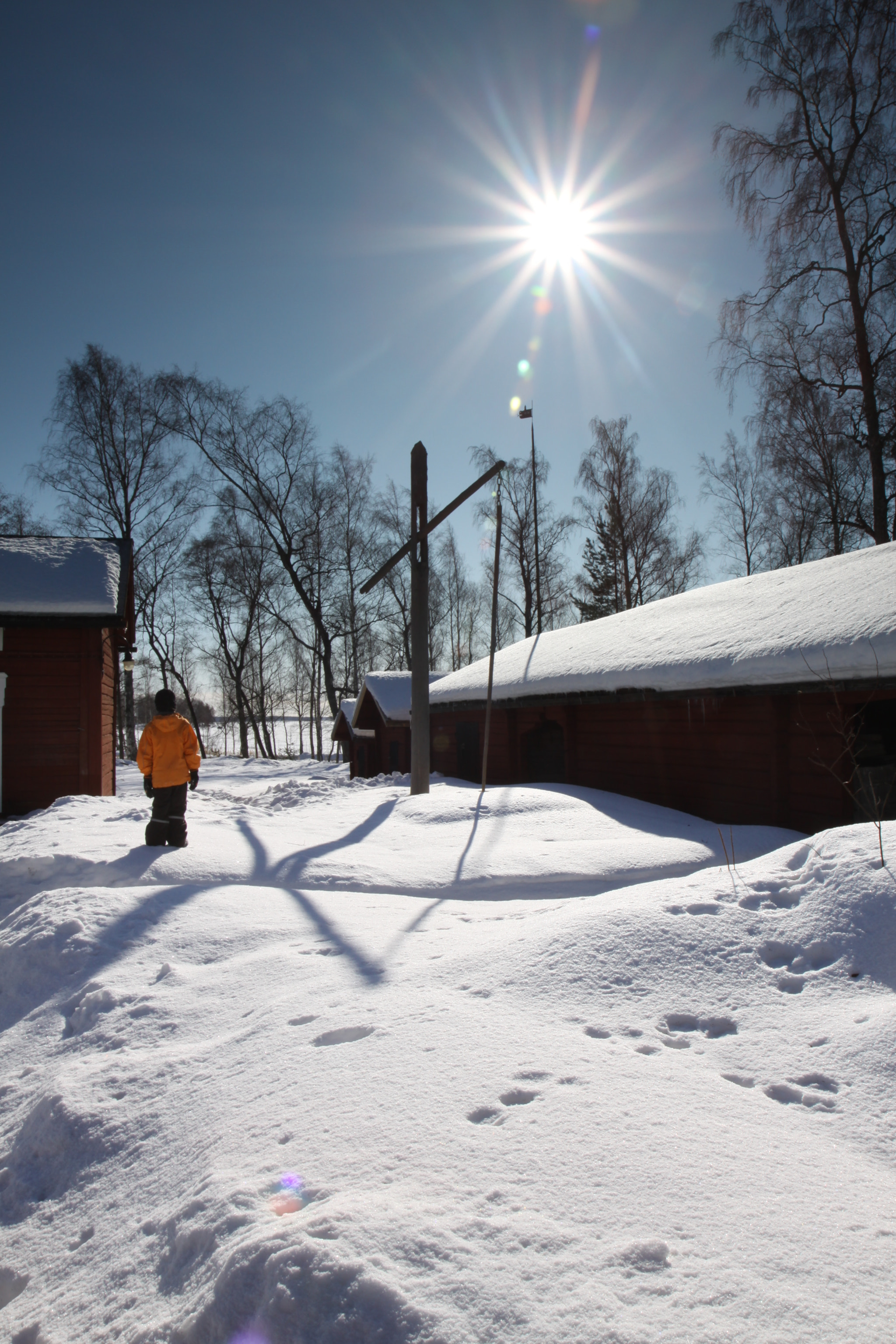 Canon EOS 50D + Canon EF-S 17-55mm F2.8 IS USM sample photo. Winter day photography