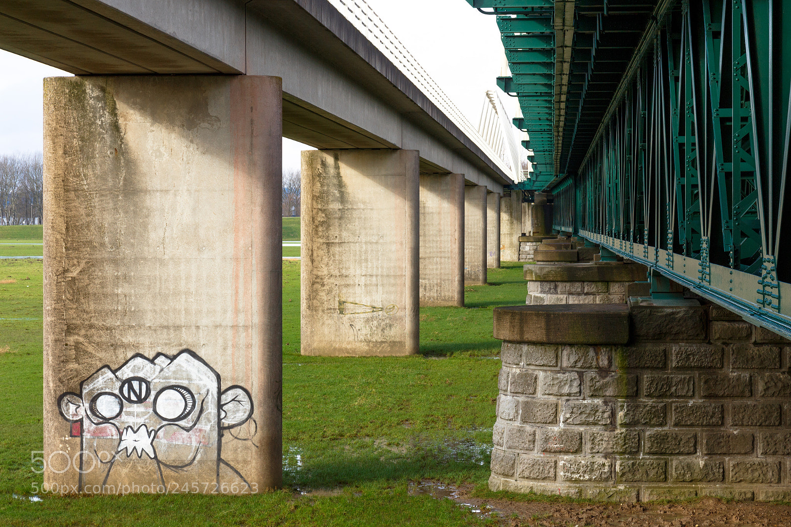 Canon EOS 700D (EOS Rebel T5i / EOS Kiss X7i) sample photo. Bridges photography