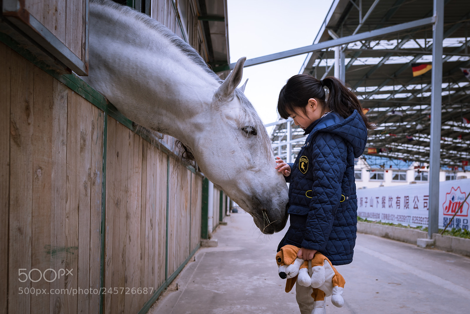 Nikon D810 sample photo. Inseparable friends photography
