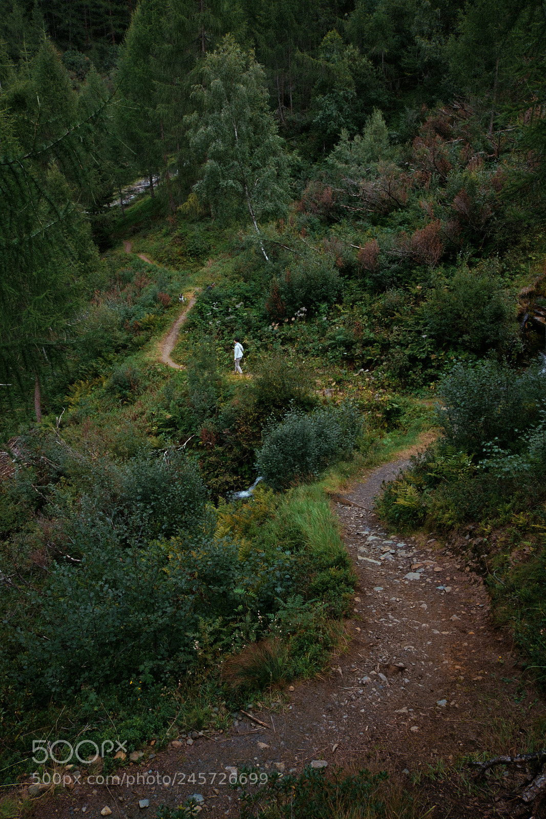 Fujifilm X-T20 sample photo. Trail photography