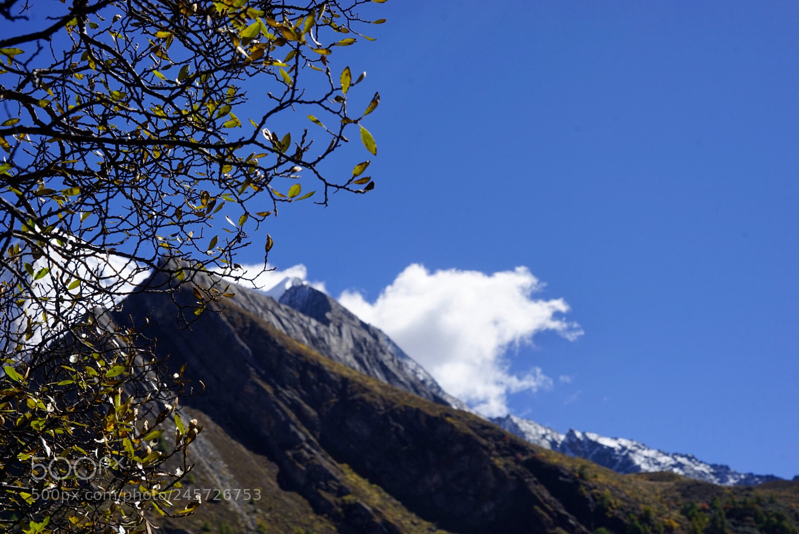 Sony a7 sample photo. 亚丁村 photography
