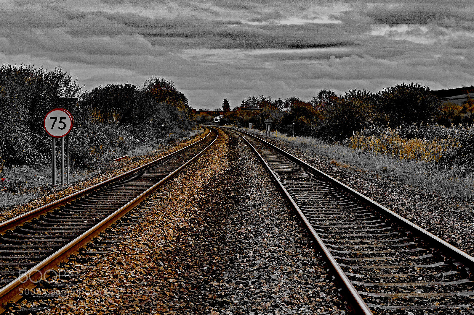 Nikon D5200 sample photo. Making tracks photography