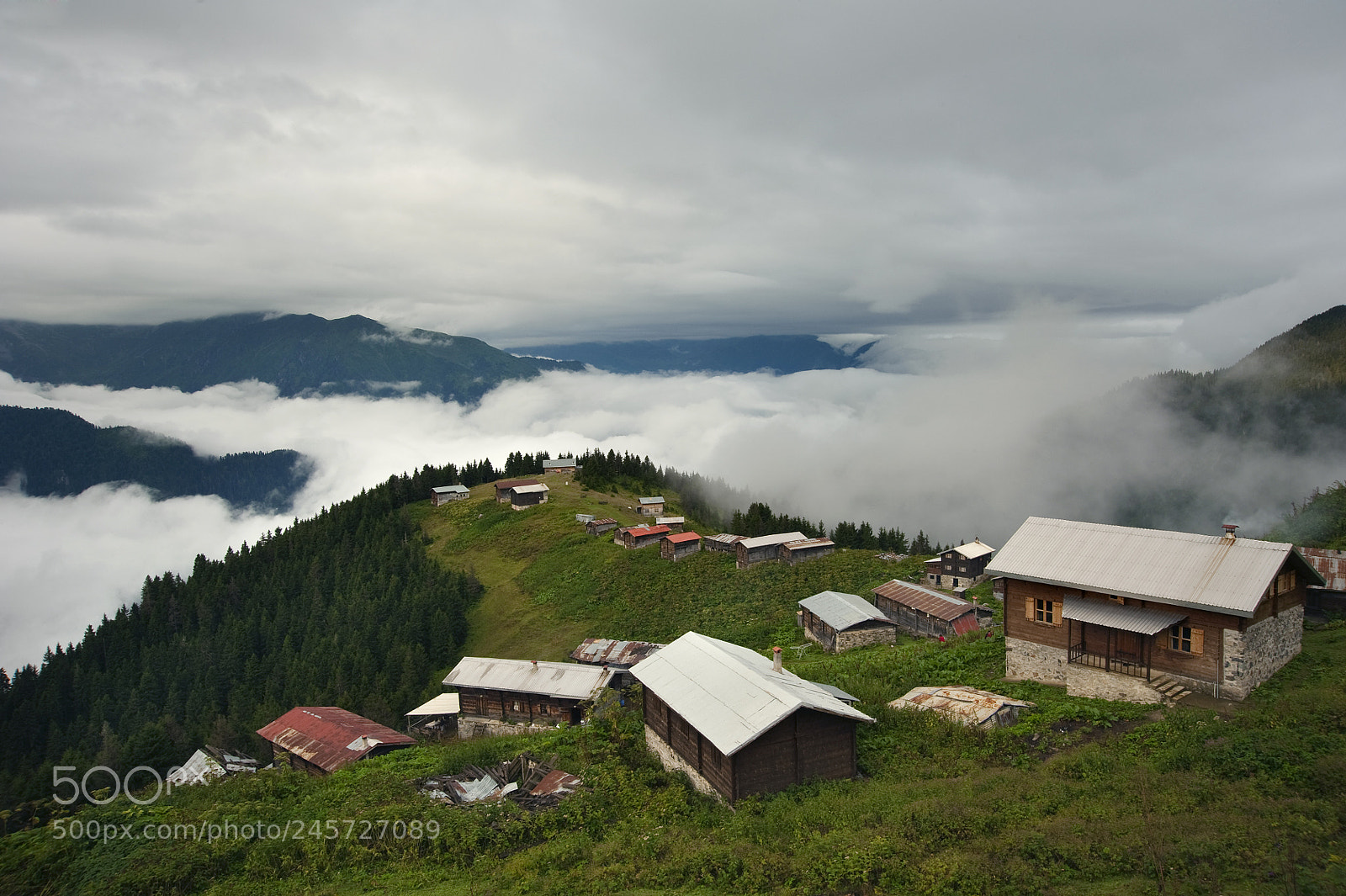 Nikon D700 sample photo. 251067-1.jpg photography