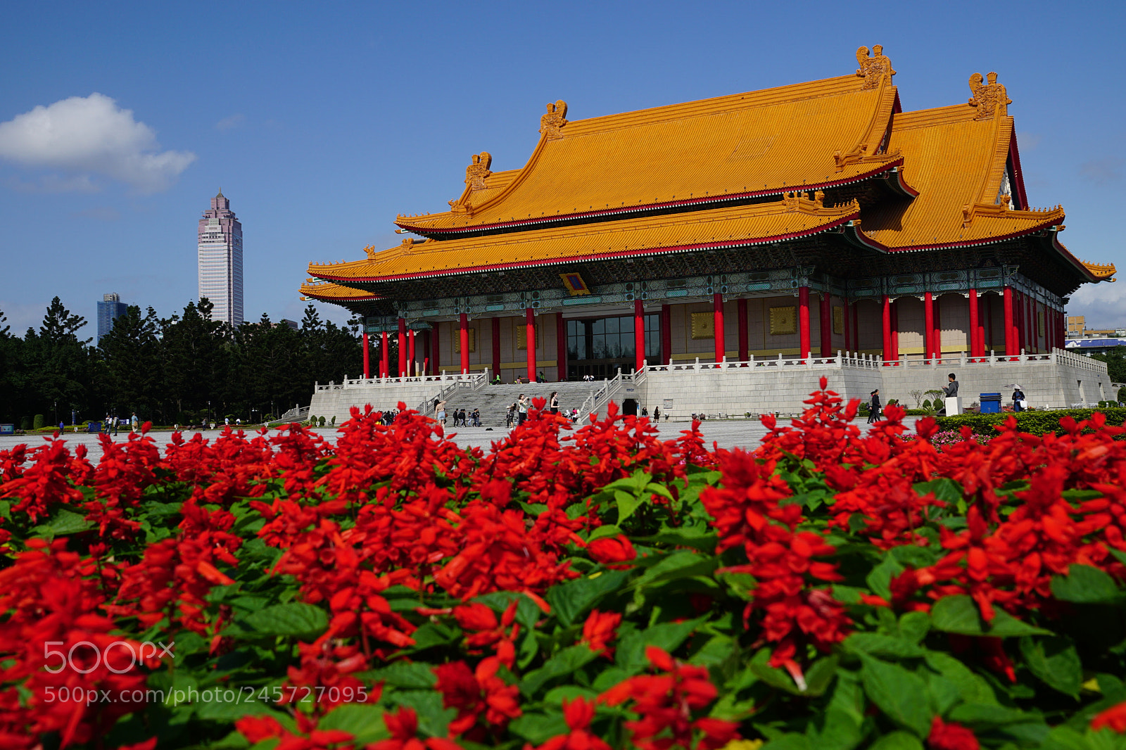Sony DT 16-50mm F2.8 SSM sample photo. Red carpet photography