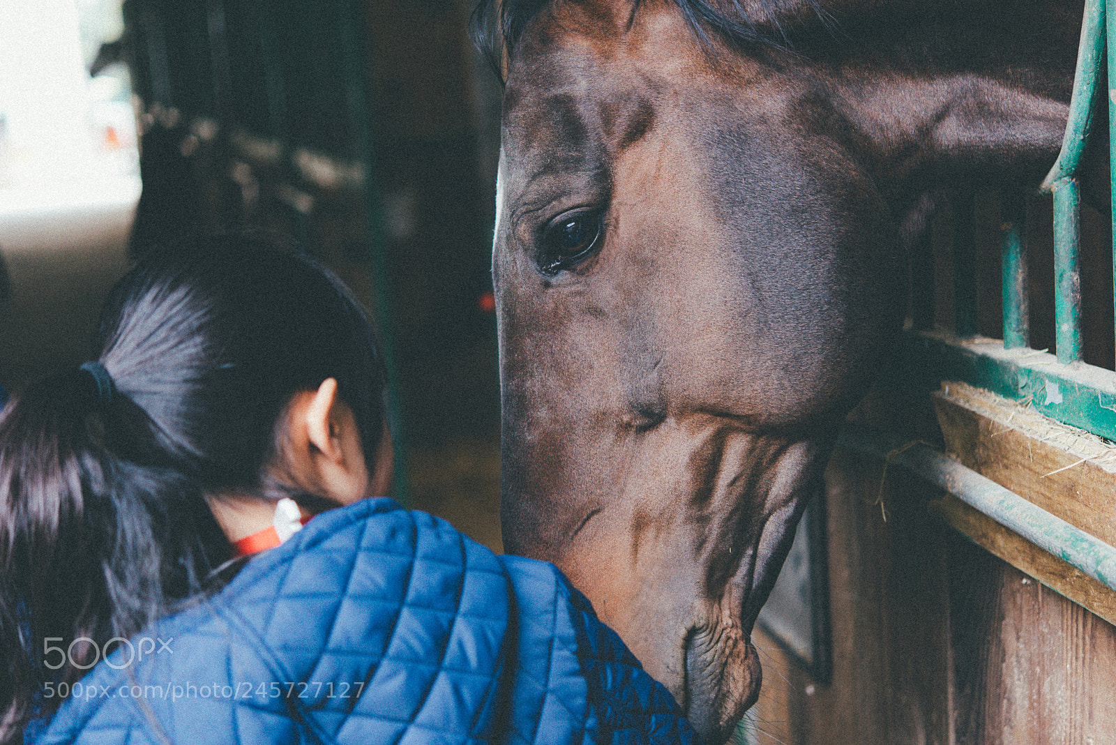 Nikon D810 sample photo. Don't say goodbye photography