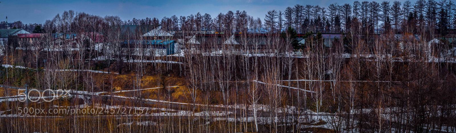 Olympus OM-D E-M5 II sample photo. New snow village in photography