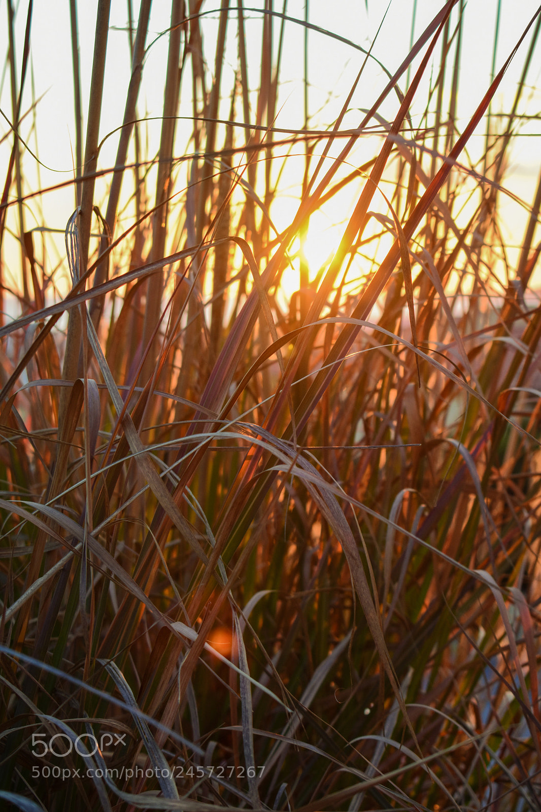 Nikon D3400 sample photo. Luminosity photography