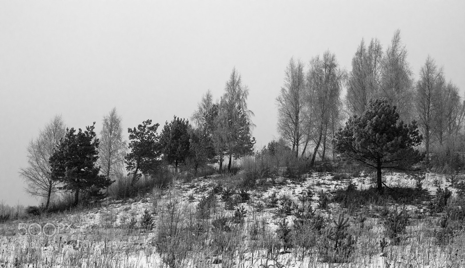 Pentax K-70 sample photo. Winter photography