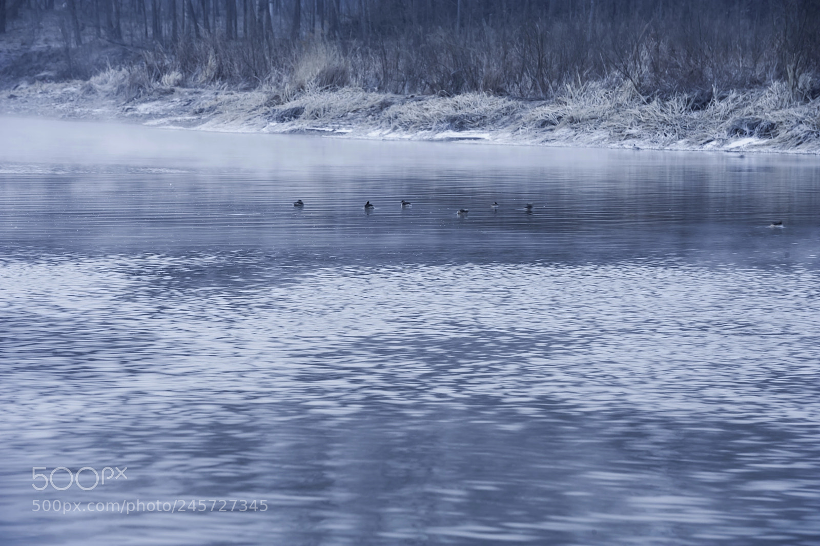 Nikon D700 sample photo. 燕舞残雪 photography