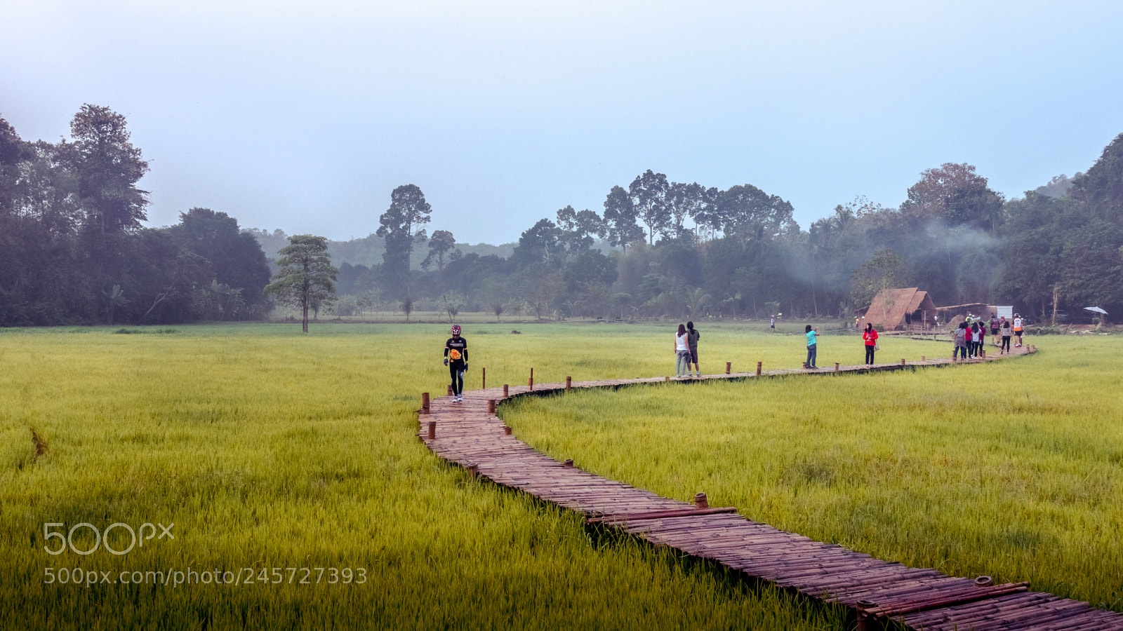 Panasonic Lumix DMC-GH4 sample photo. Tung na mui bridge photography