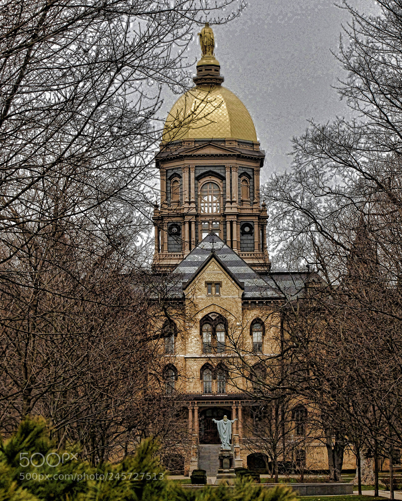 Nikon D200 sample photo. Golden dome fall hd photography