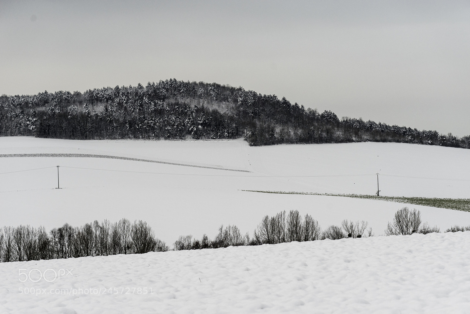 Pentax K-1 sample photo. Natural stitching errors ? photography