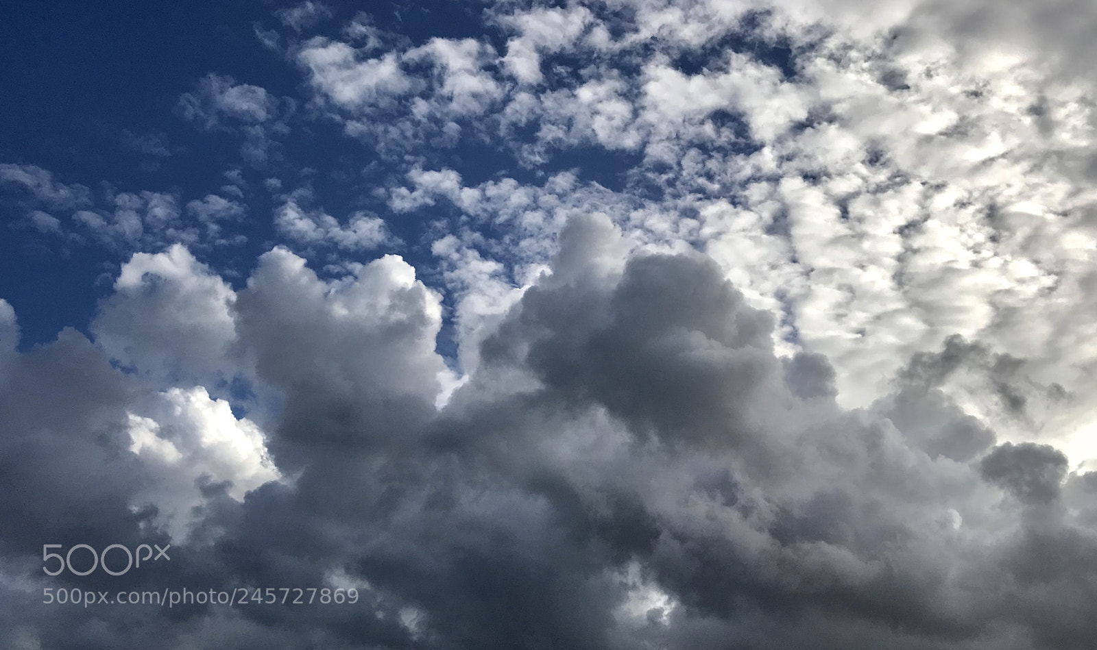 Apple iPhone 7 Plus sample photo. Untitled photography