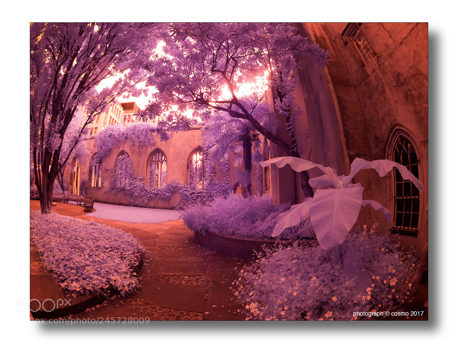 Panasonic Lumix DMC-G5 sample photo. St dunstan-in-the- east church photography