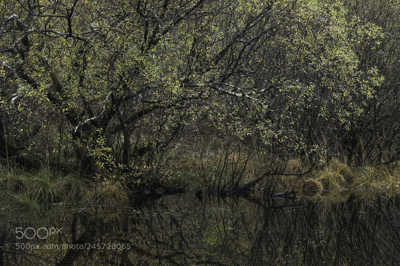 Fujifilm X-T1 sample photo. Loch lubhair photography