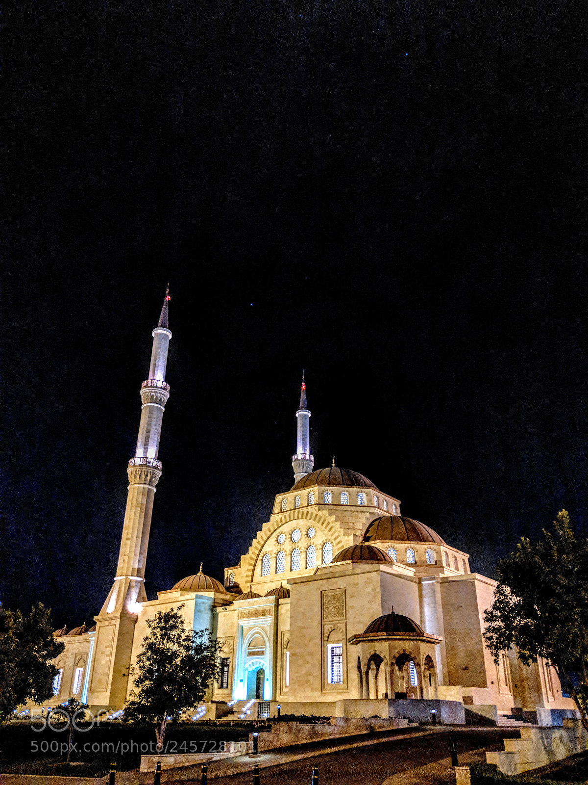 Google Pixel 2 XL sample photo. Muscat gama said bin photography