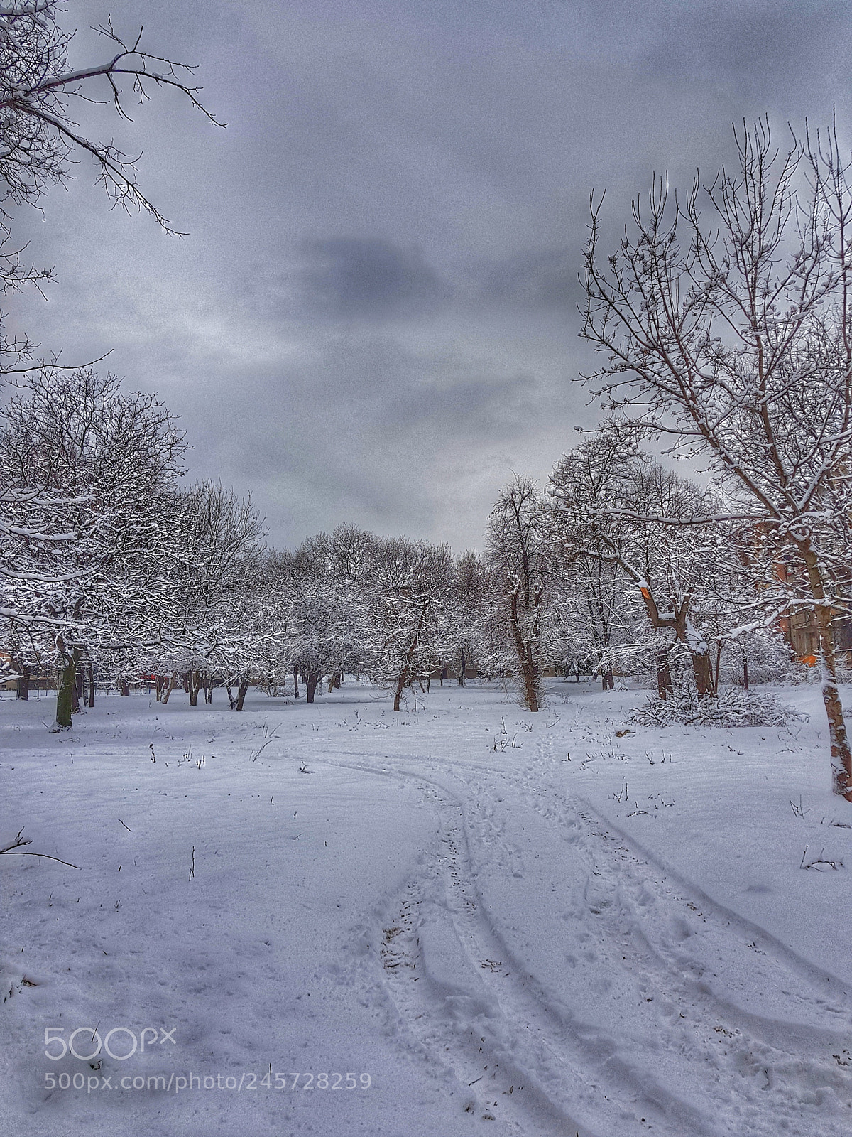Samsung Galaxy S8+ sample photo. Winter photography