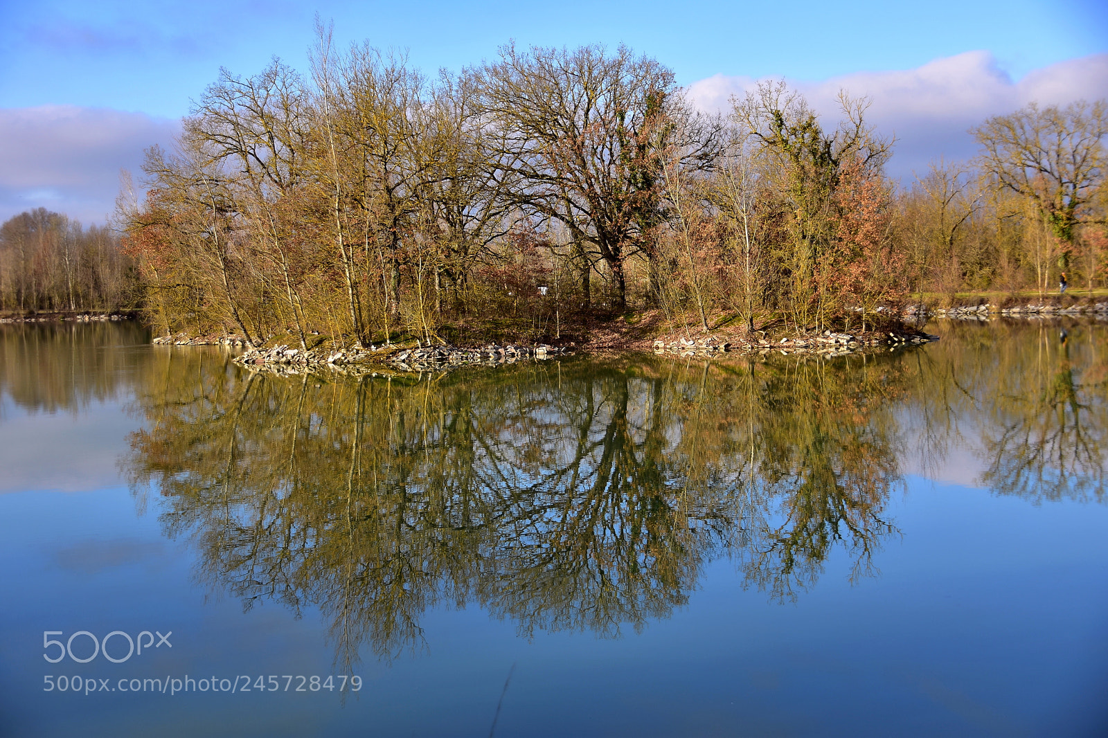 Nikon D3400 sample photo. Trees reflecting in a photography