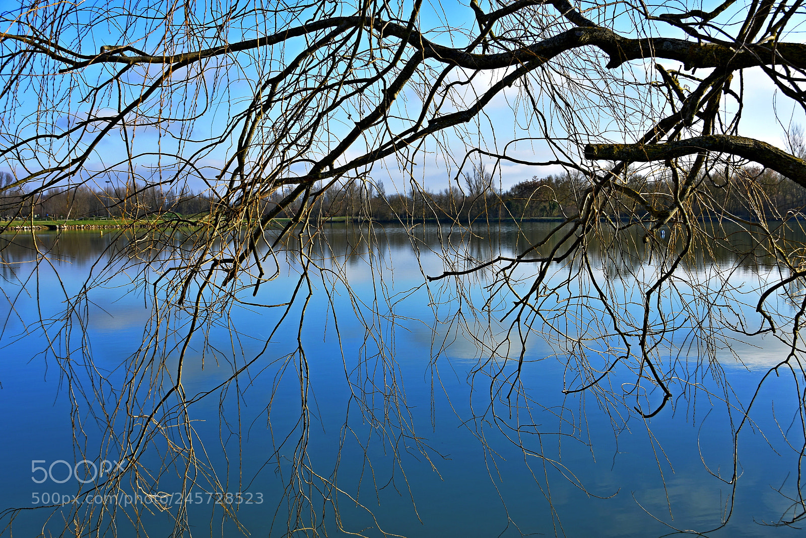 Nikon D3400 sample photo. Placid lake seen through photography