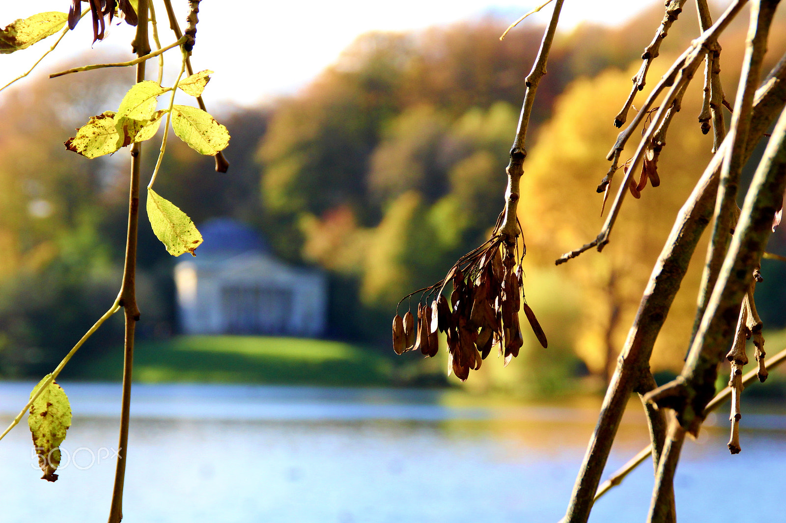 Canon EOS 60D sample photo. Img photography