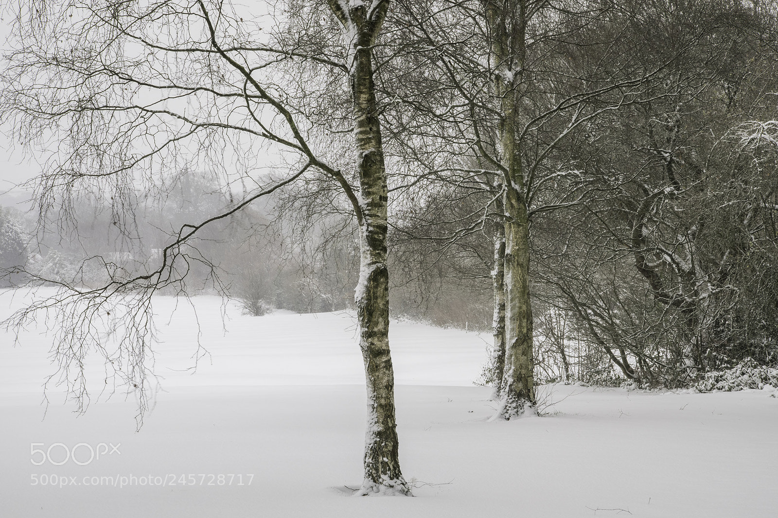 Fujifilm X-T1 sample photo. Winter photography