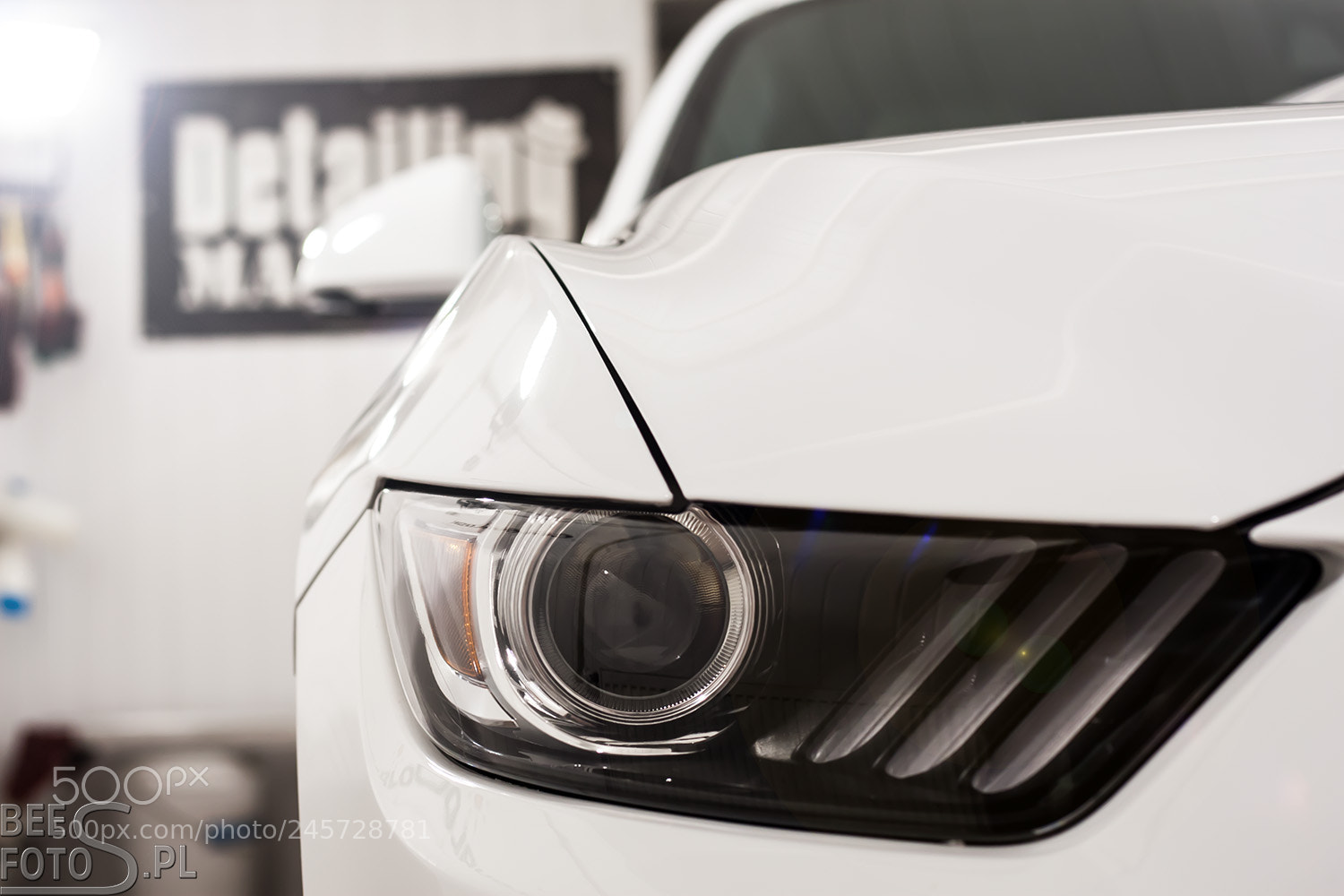 Canon EOS 30D sample photo. Mustang photography