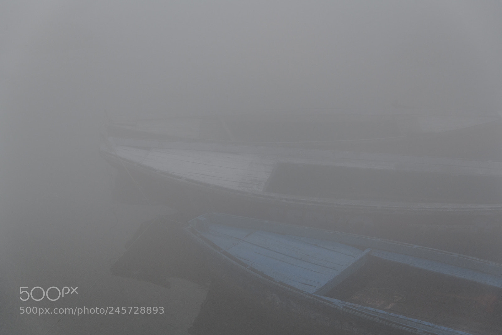 Nikon D850 sample photo. Morning fog on the photography