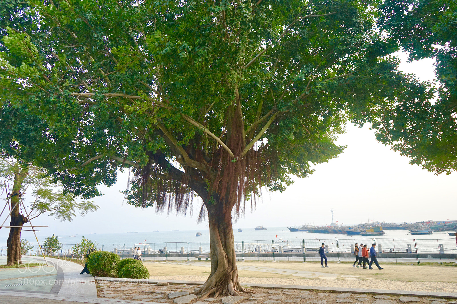 Sony a7 sample photo. Fullsizeoutput photography