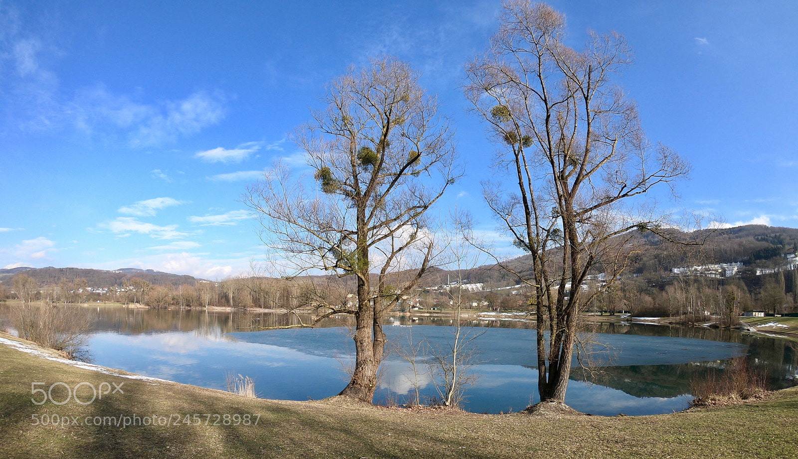 GoPro Hero6 Black sample photo. Trees photography