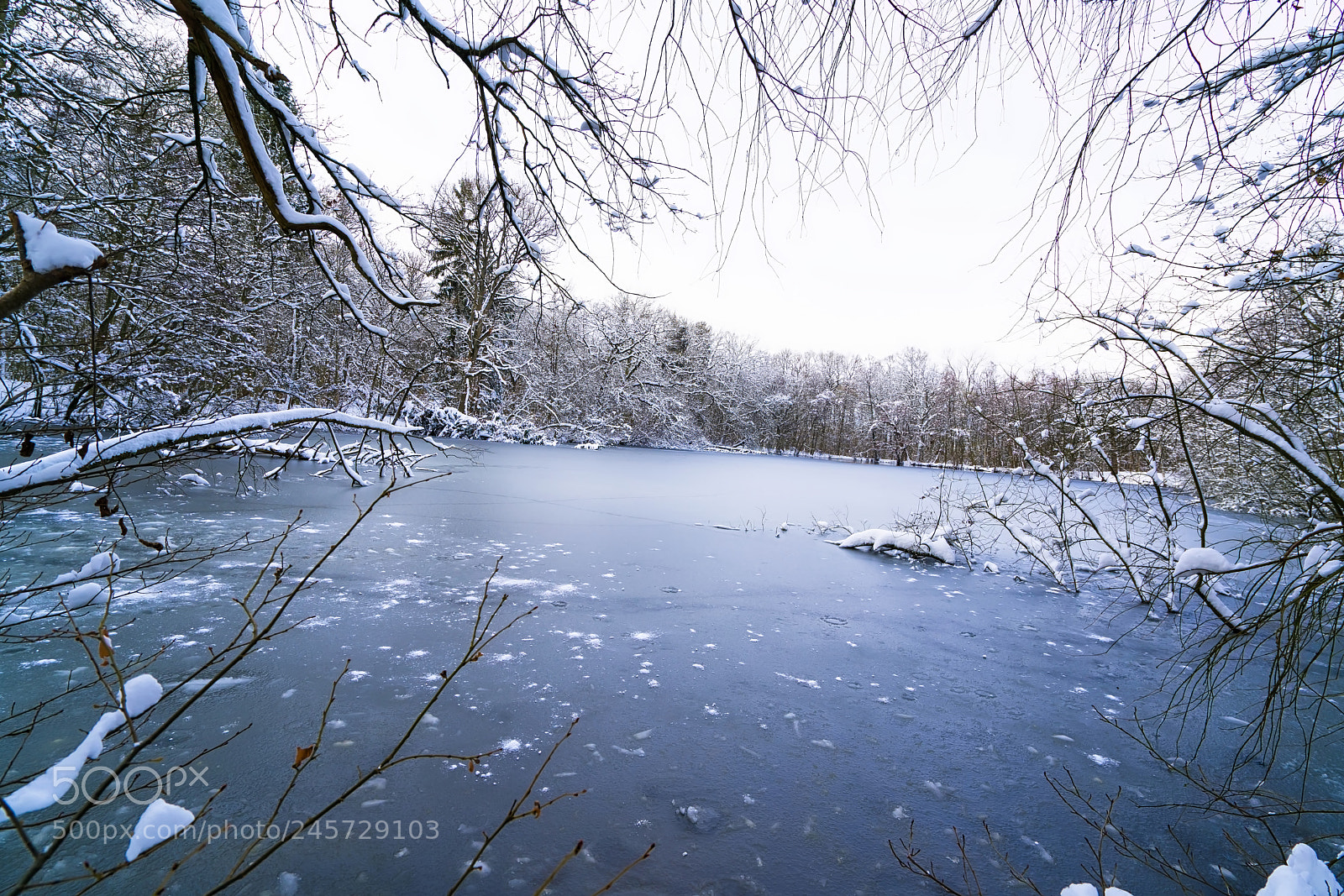 Sony a7R II sample photo. The cold side of photography