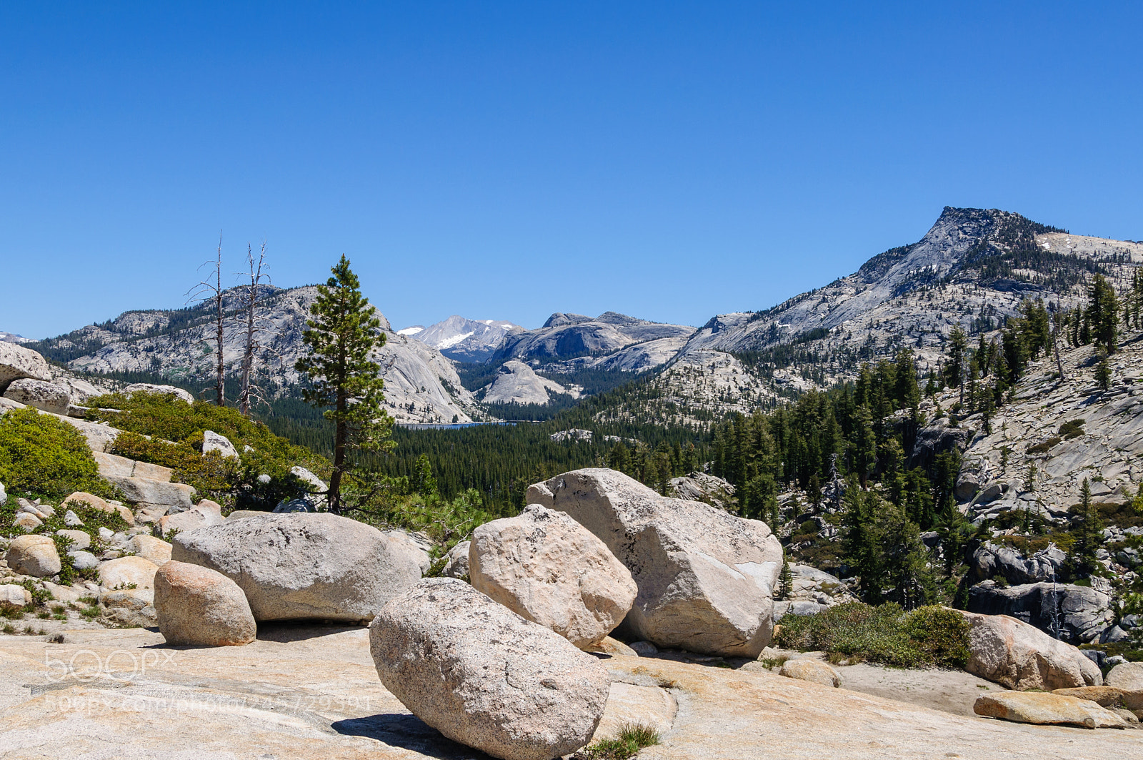 Nikon D90 sample photo. View from olmsted point photography