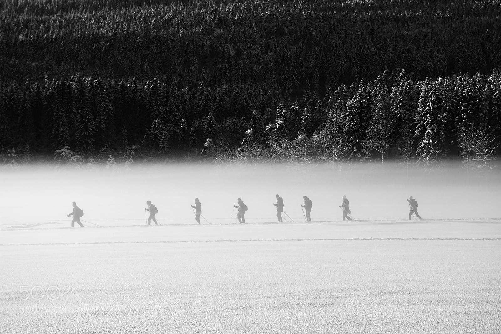 Nikon D7200 sample photo. Sognsvann photography