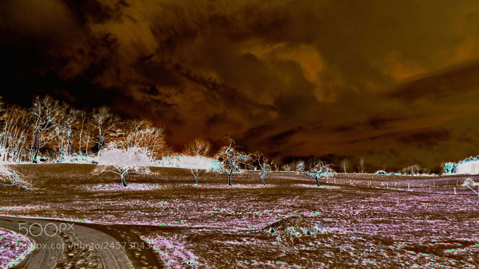 Fujifilm X-T20 sample photo. Wintertrees photography