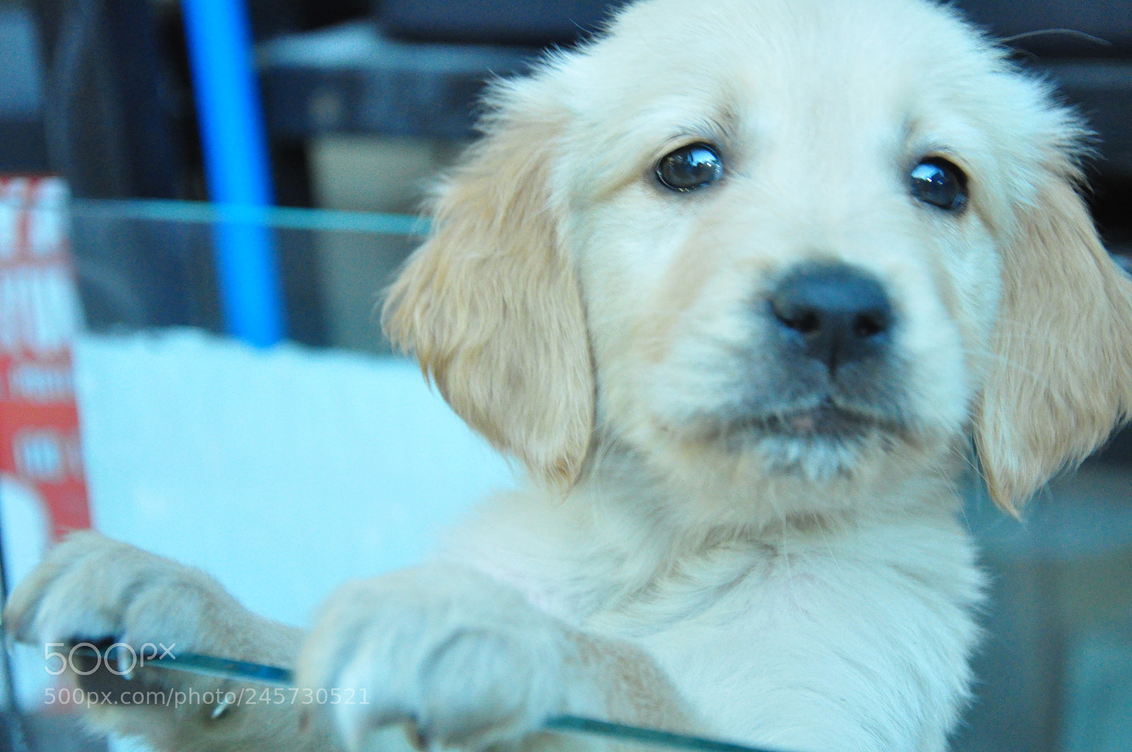 Nikon D90 sample photo. () photography