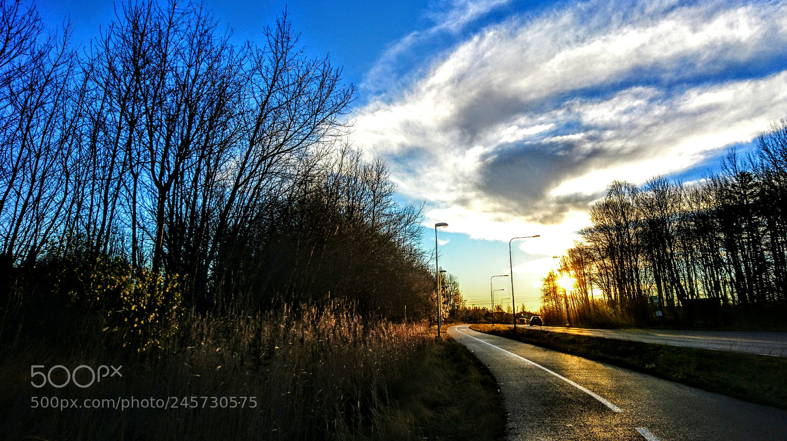 Sony Xperia X sample photo. Dsc photography
