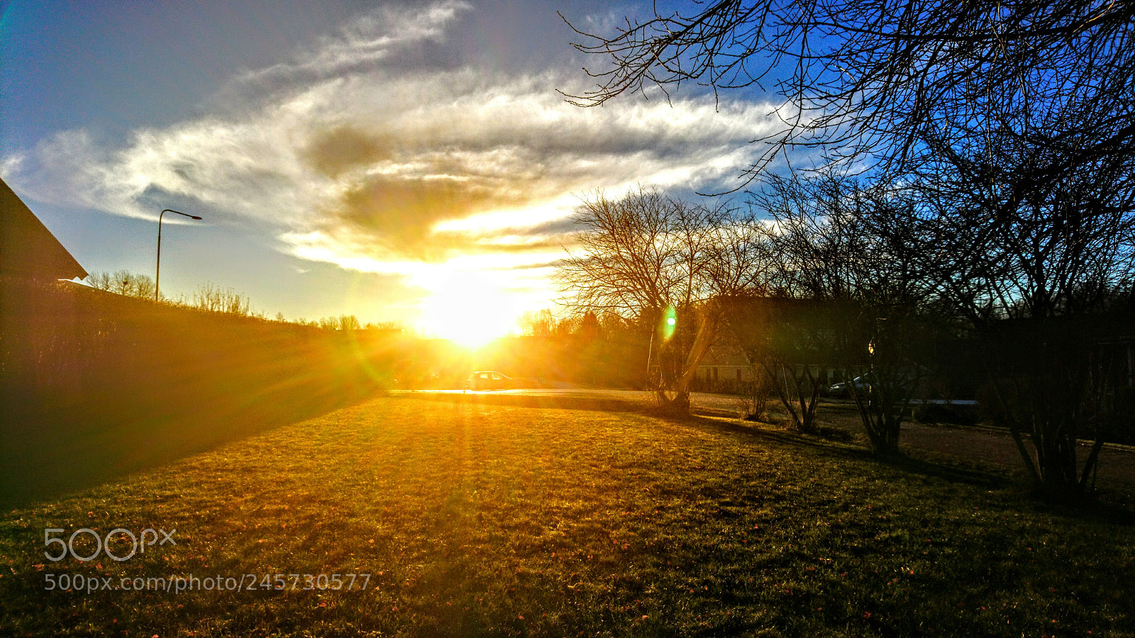 Sony Xperia X sample photo. Dsc photography