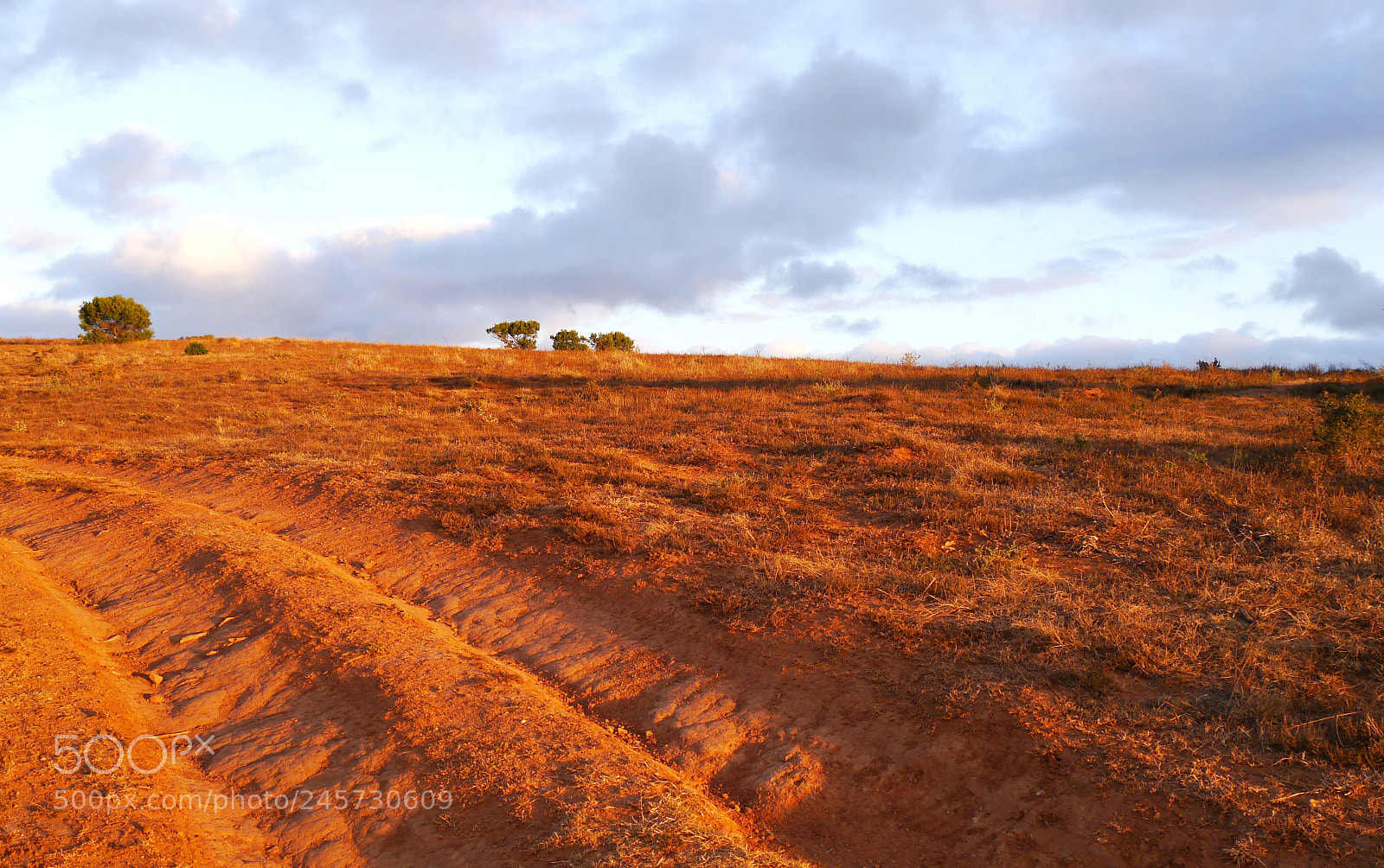 Panasonic Lumix DMC-G5 sample photo. Sunset in south africa photography