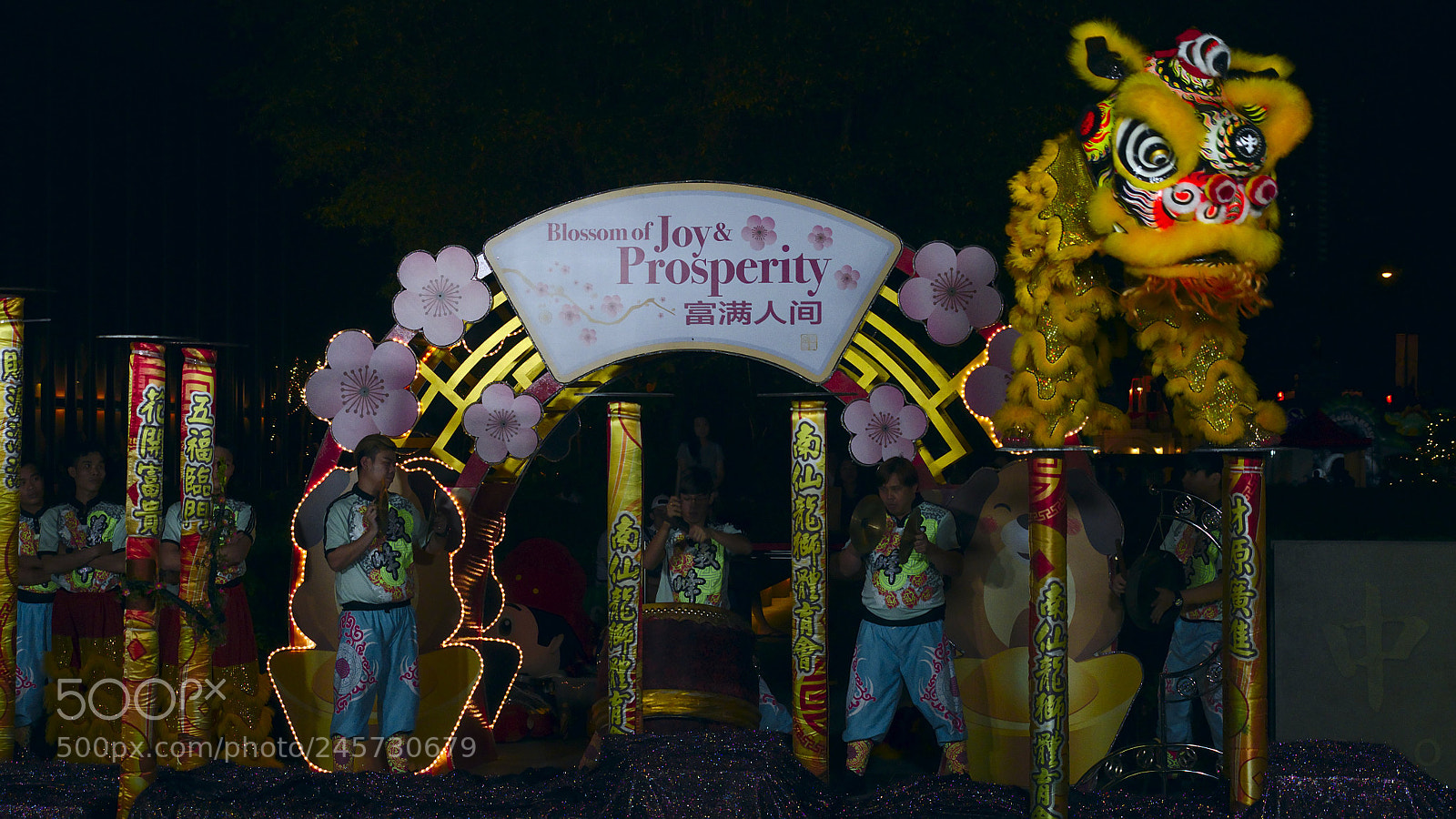 Panasonic Lumix DMC-G85 (Lumix DMC-G80) sample photo. Lion dance photography