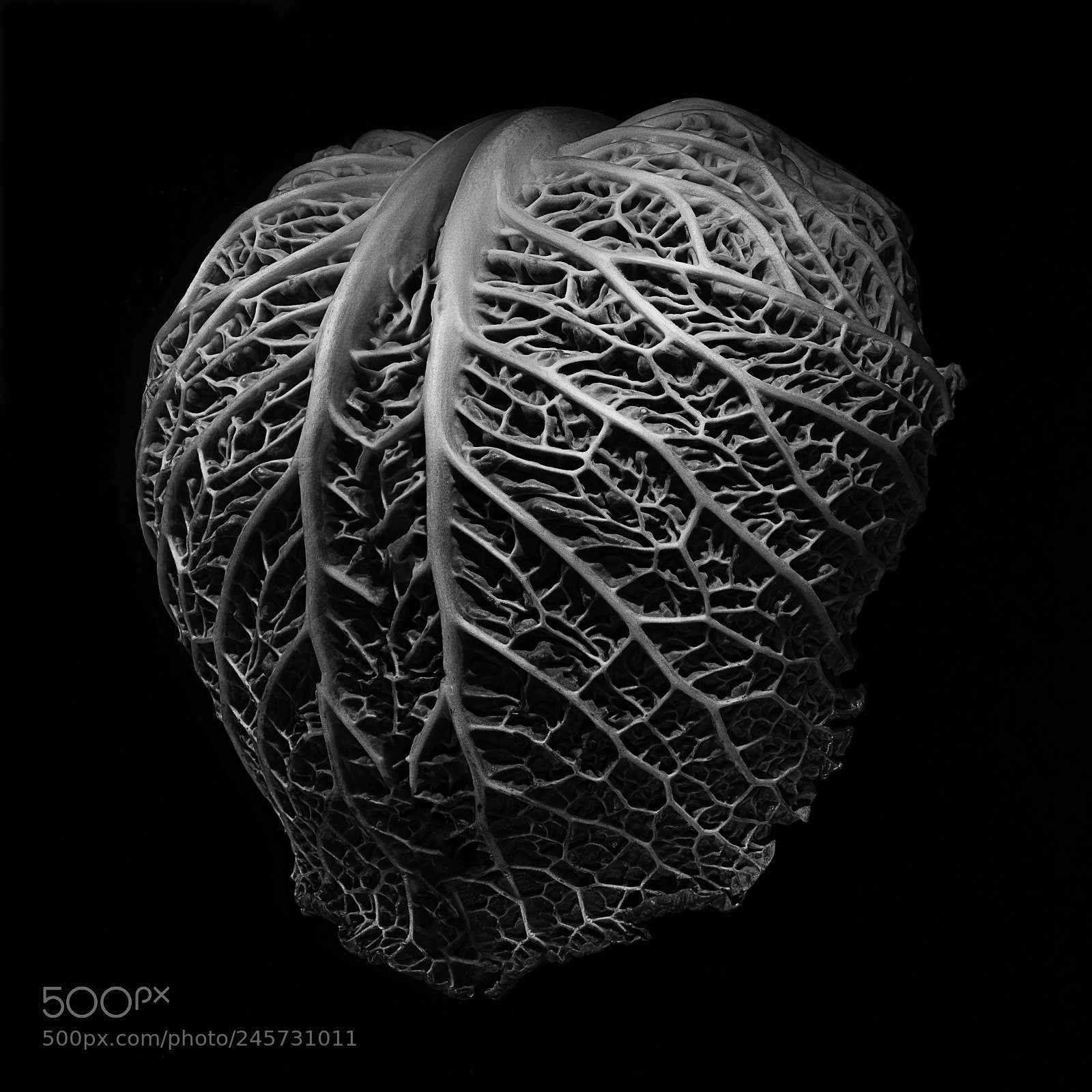 Canon EOS 5DS R sample photo. Cauliflower photography