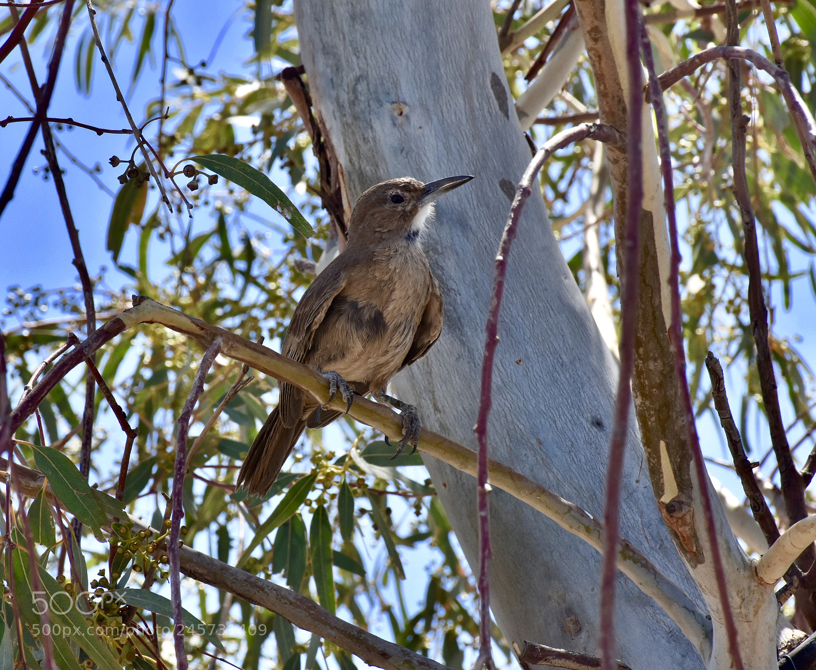 Nikon D7200 sample photo. Untitled photography