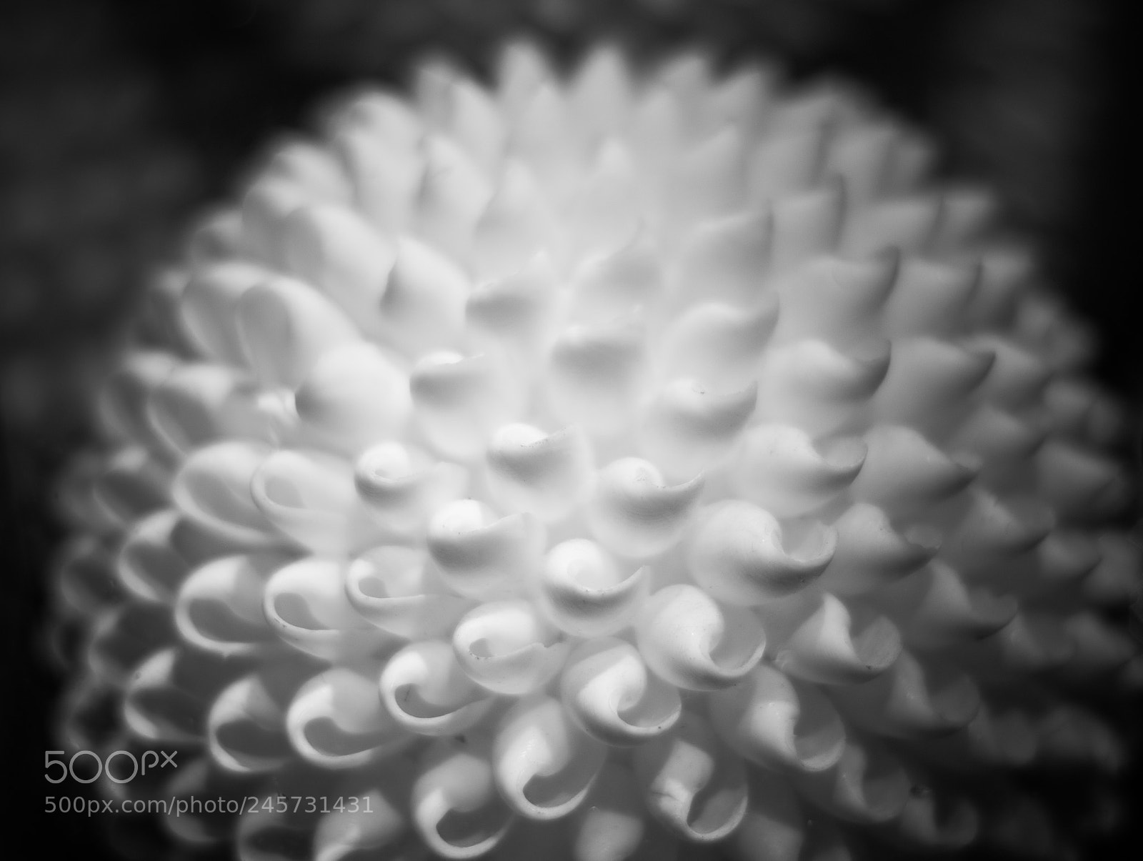 Pentax K-50 sample photo. Home decor photography