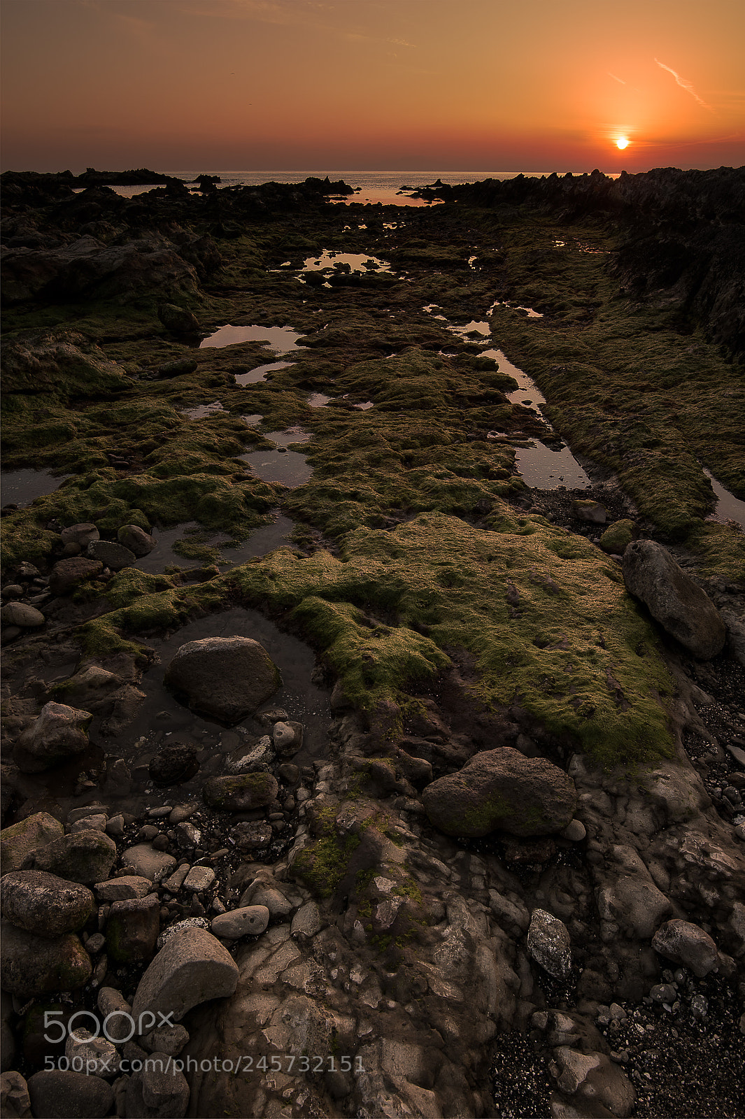 Nikon D4S sample photo. Sunset and seaweed and photography