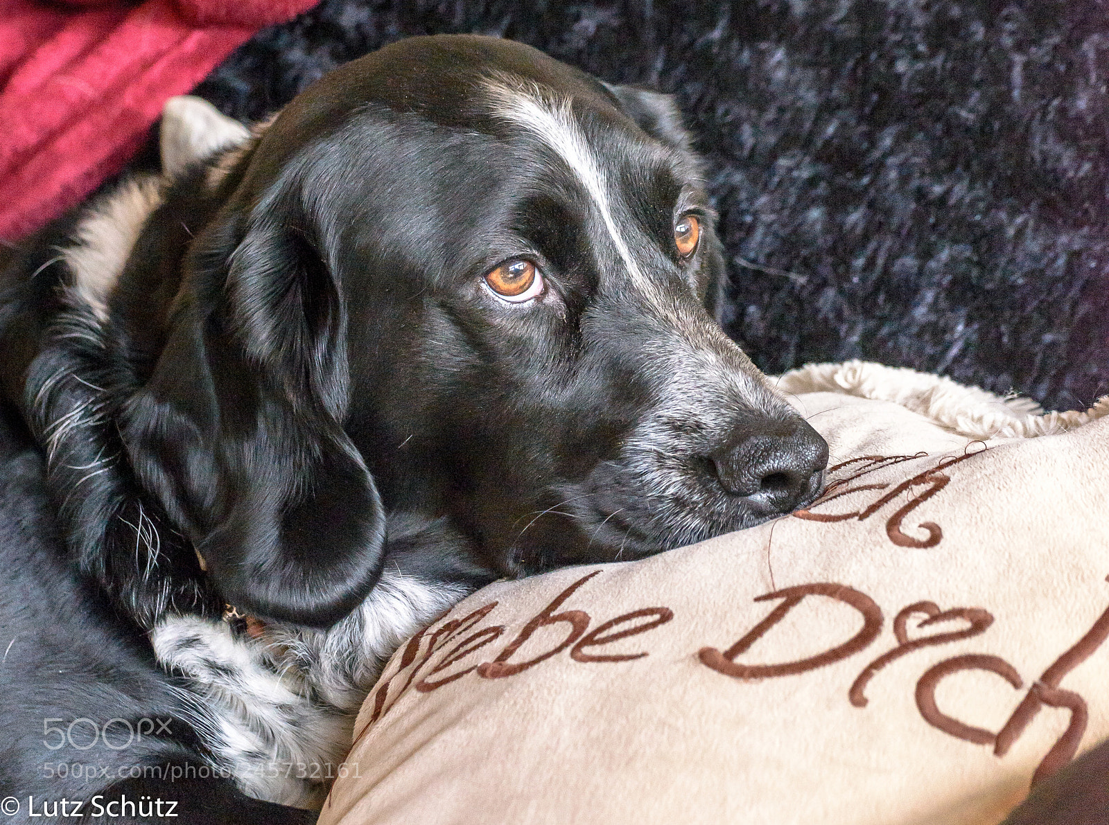 Nikon D600 sample photo. I love you photography