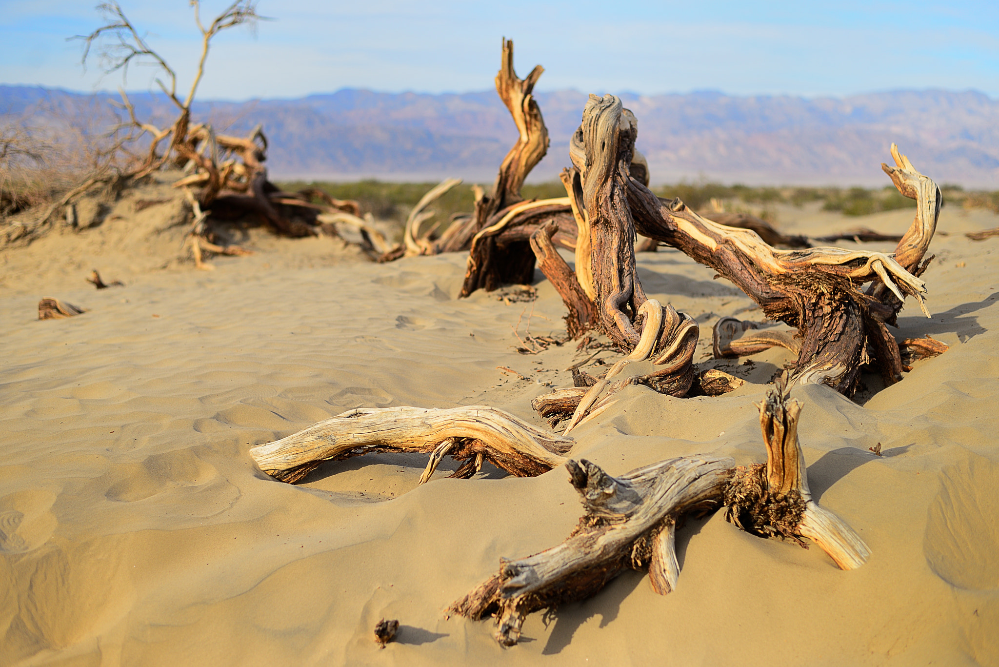 Nikon D600 + Nikon AF-S Nikkor 50mm F1.8G sample photo. Deathvalley photography