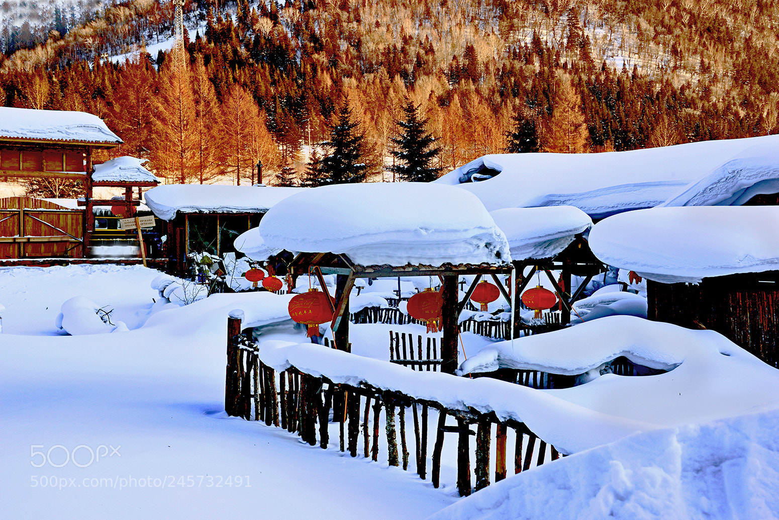 Nikon D800E sample photo. 瑞雪兆丰年 photography